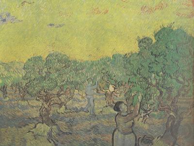 Olive Grove with Picking Figures (nn04), Vincent Van Gogh